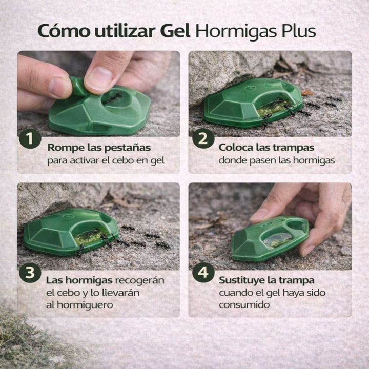 Embalagem de 4 armadilhas de gel para formigas Plus – Controlo eficaz de formigas em ambientes interiores e exteriores