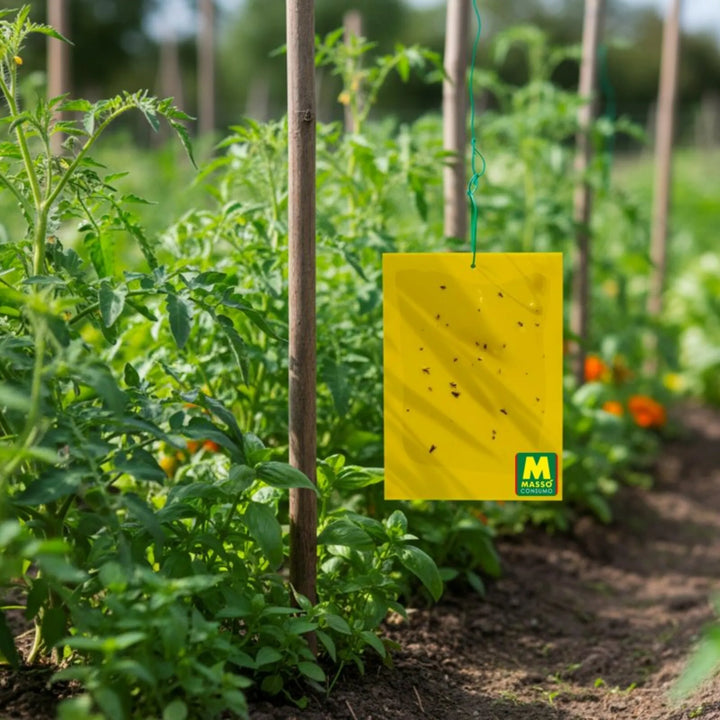 Sistema adhesivo resistente para huertos, jardines e invernaderos Preben para la captura de Mosca Blanca, Pulgones, Trips y Mosquitos