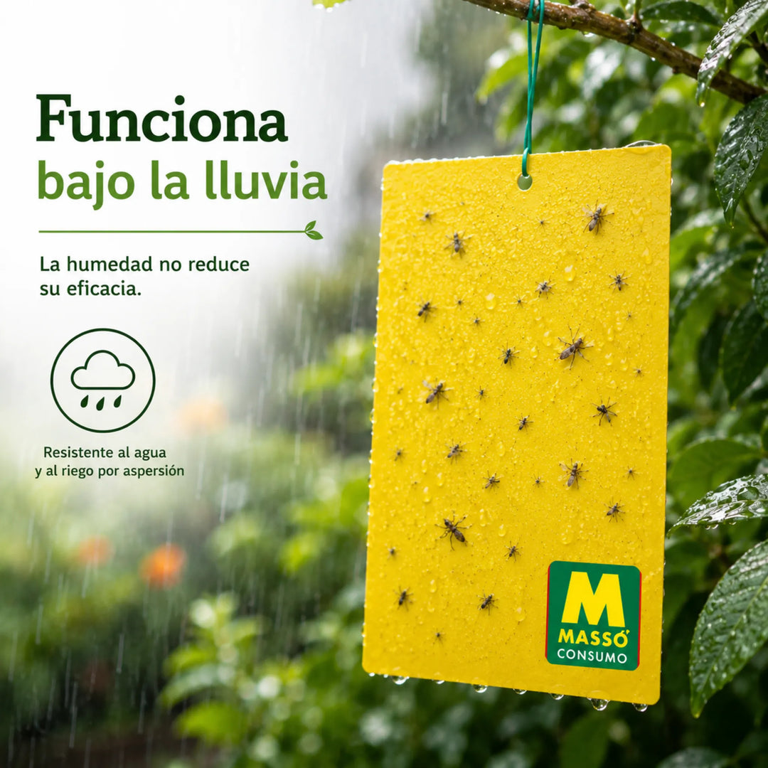 Sistema adhesivo resistente para huertos, jardines e invernaderos Preben para la captura de Mosca Blanca, Pulgones, Trips y Mosquitos