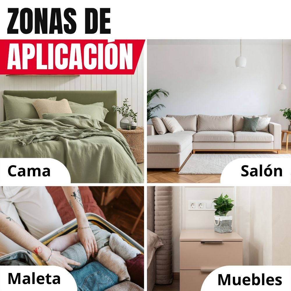 Catchmaster - Armadilha de monitoramento de percevejos