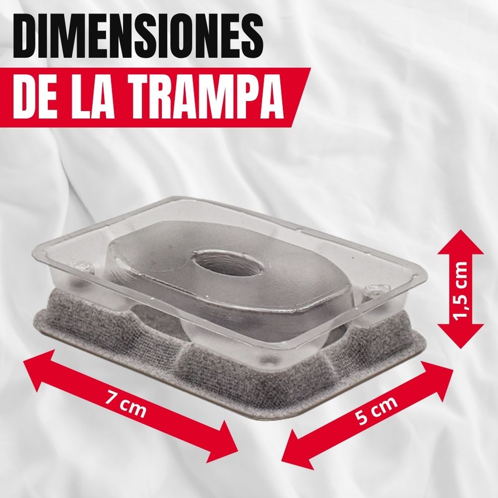 Catchmaster - Armadilha de monitoramento de percevejos